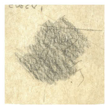 Visualizza l'immagine "FD D 2303"